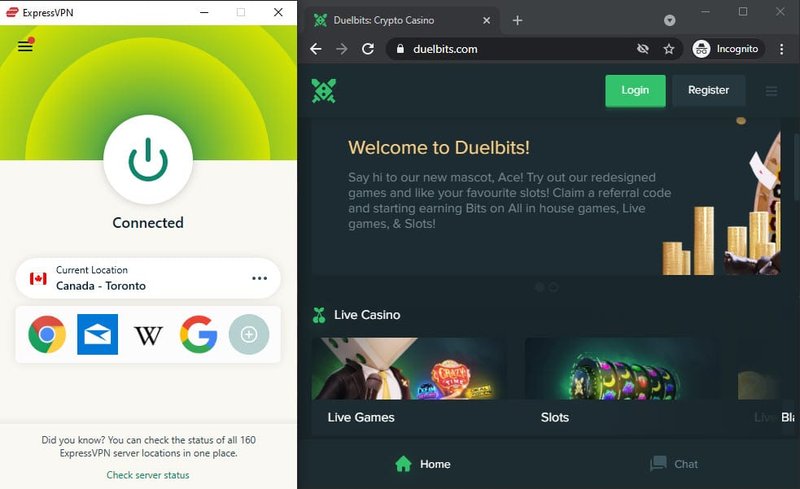 Duelbits Casino: An Overview of Available Promotions - overview